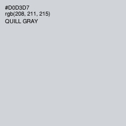 #D0D3D7 - Quill Gray Color Image